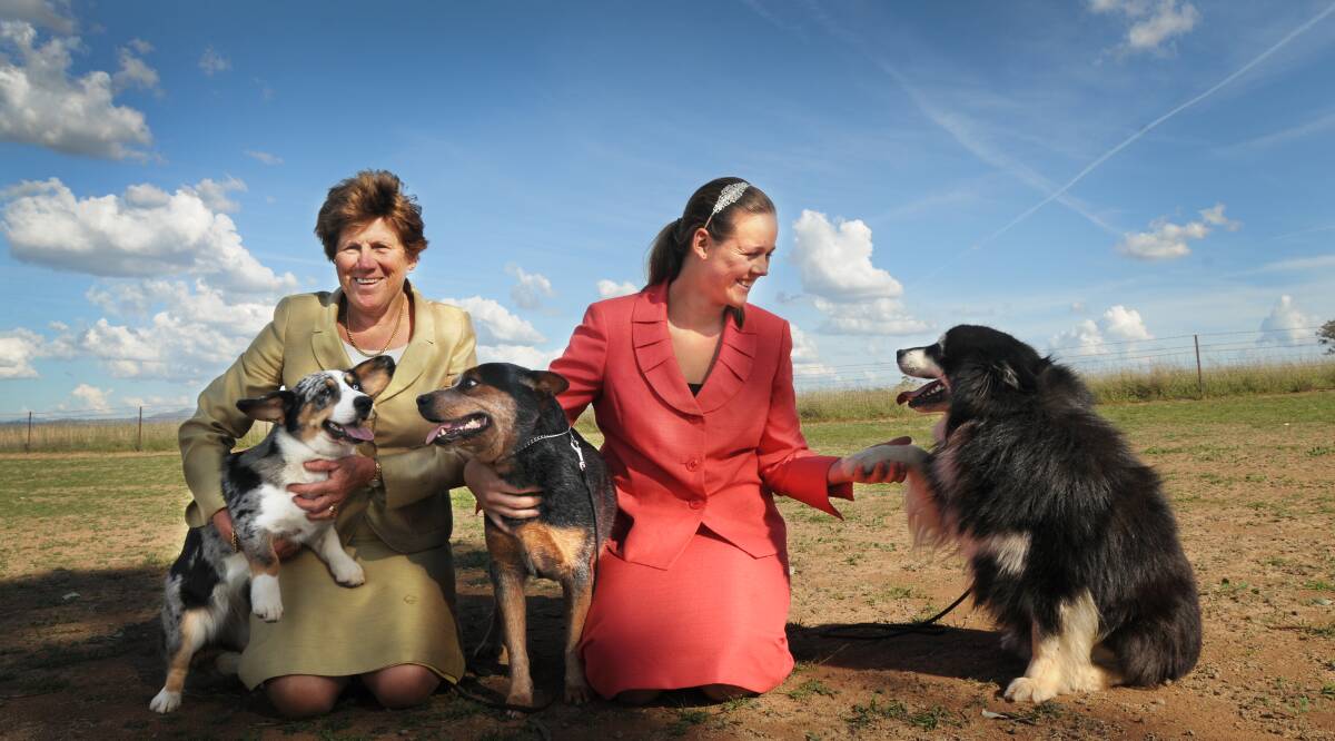 PAWFECT: Fiona and Catherine Holtkamp with their show-winning dogs, Rosette, Maggie and Nike. Photo: Gareth Gardner 240414GGC05