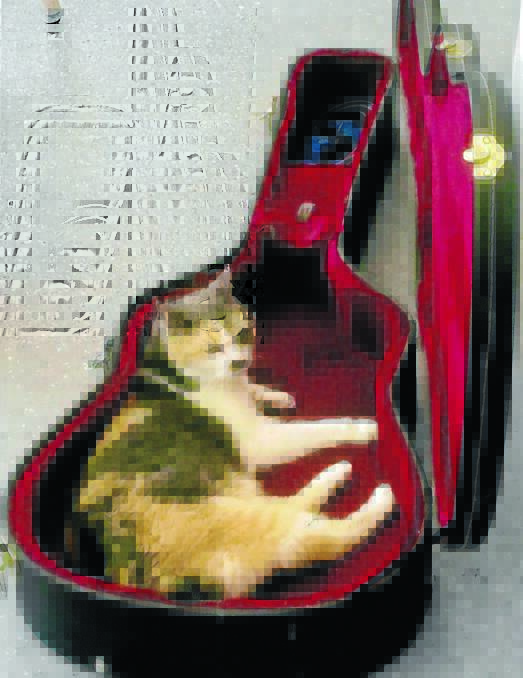 INVITING:  The McKary Nursing home, home-cat, takes up temporary and musical residence in Clif’s case.