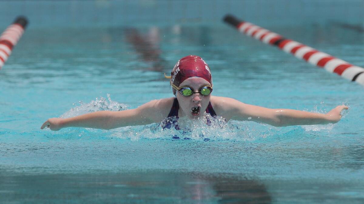 Gunnedah’s Chloe Sumpter takes  breath in her butterfly event at the Armidale Diocesan Swimming Carnival yesterday. 
Photo: Gareth Gardner  270214GGC03