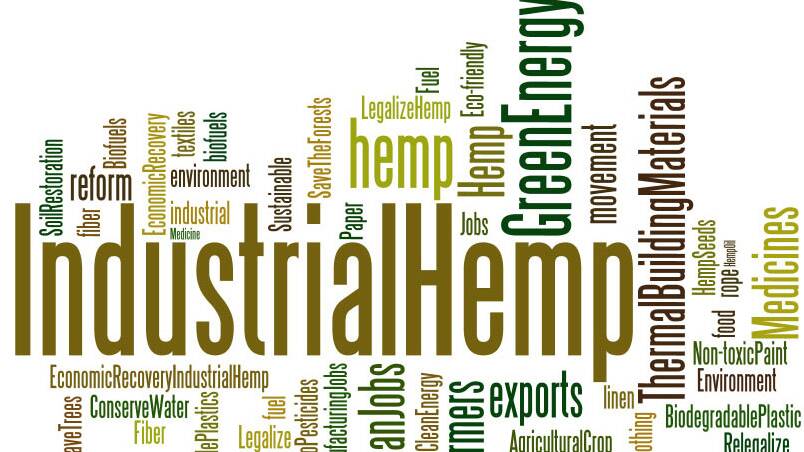 Farmers urged to consider growing industrial hemp