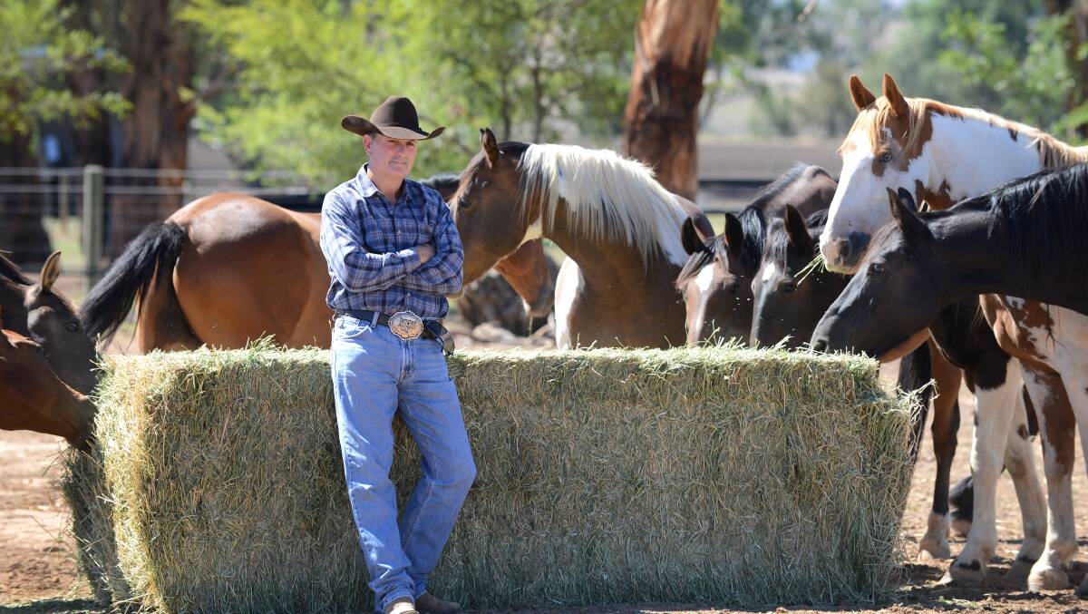 Stock contractor Greg Gibson with some of his horses for next weekend's Attunga rodeo including  ‘Rouch’ (second in from right) who hasn't been ridden in his last four outings. Photo: Barry Smith 110314BSF05