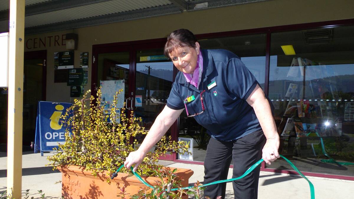 LET IT FLOW: The Murrurundi Visitor Information Centre and Community Technology Centre's (CTC) garden is one of many that will benefit from the lifting of water restrictions. CTC officer Robyn Orman is ready to start watering.