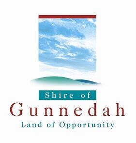 Gunnedah takes a fresh look at future