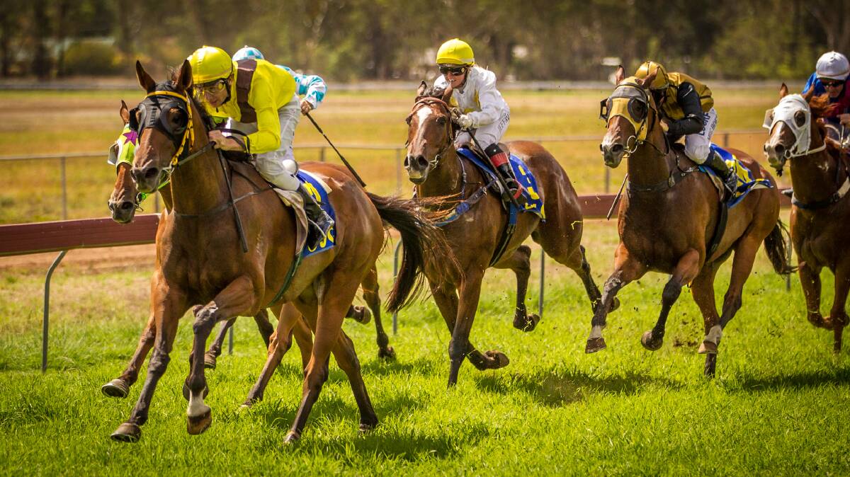 Subtract and Kody Nestor race away to victory at Coonabarabran last Saturday. Photo courtesy of racing.photography.com.au