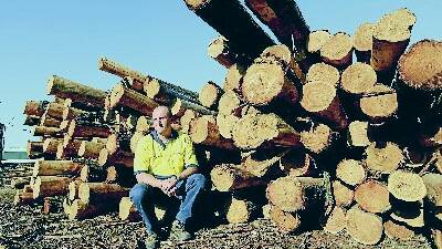 YEARS OF UNCERTAINTY: Gunnedah Timbers manager Patrick Paul had to make about 20 timber workers redundant last week. Photo: Barry Smith 250713BSC02