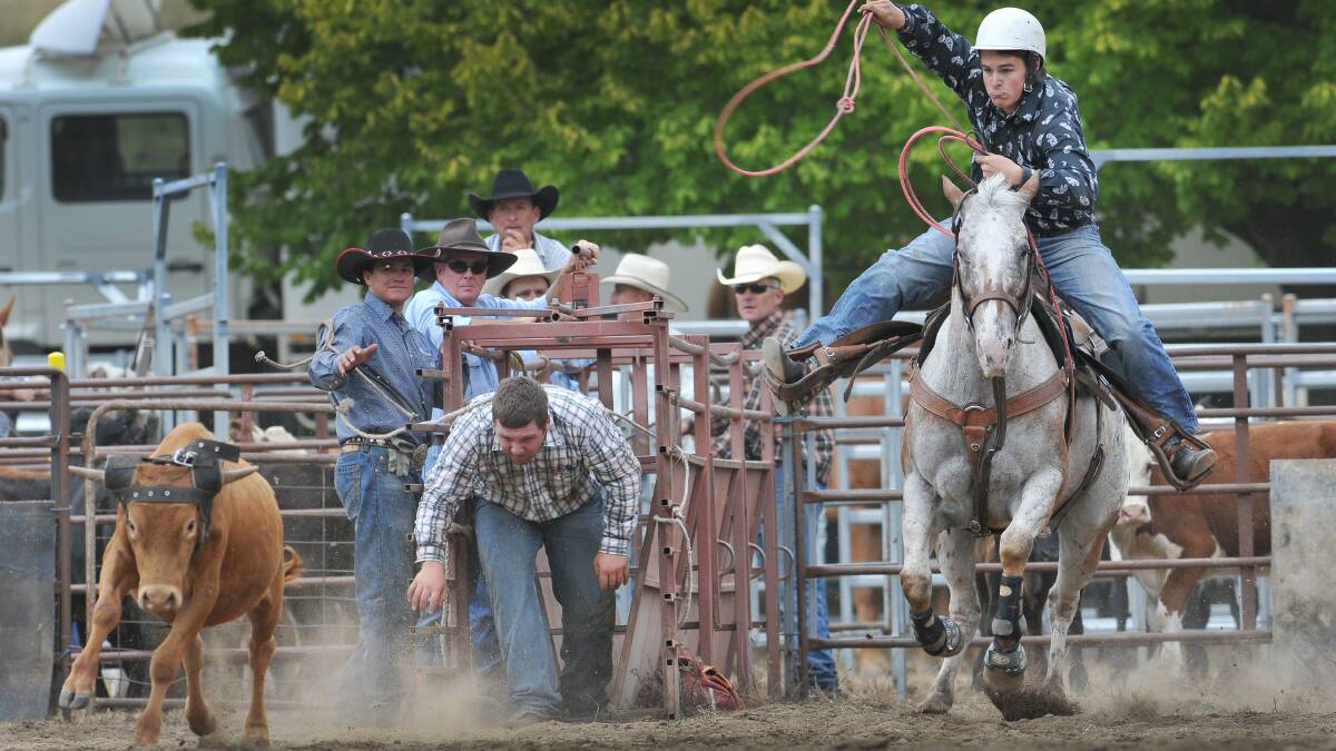 LEFT: Jackson Dening explodes in the team roping. He and William Miller finished second in that rodeo discipline at Bendy on Saturday.  
Photo: Gareth Gardner 160214GGD14