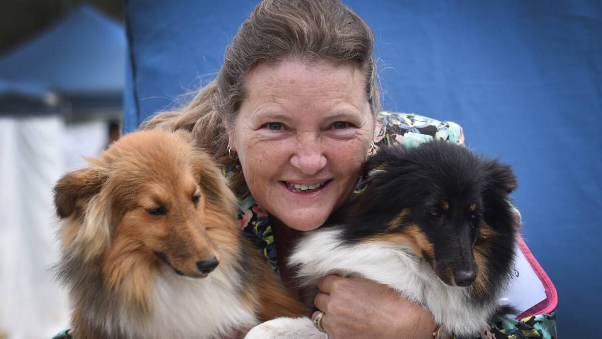 FLUFFIES: Bendemeer's Kathy Hales with Shetland sheep dogs Wombat and Dolly. Photo: Geoff O'Neill 230515GOA01