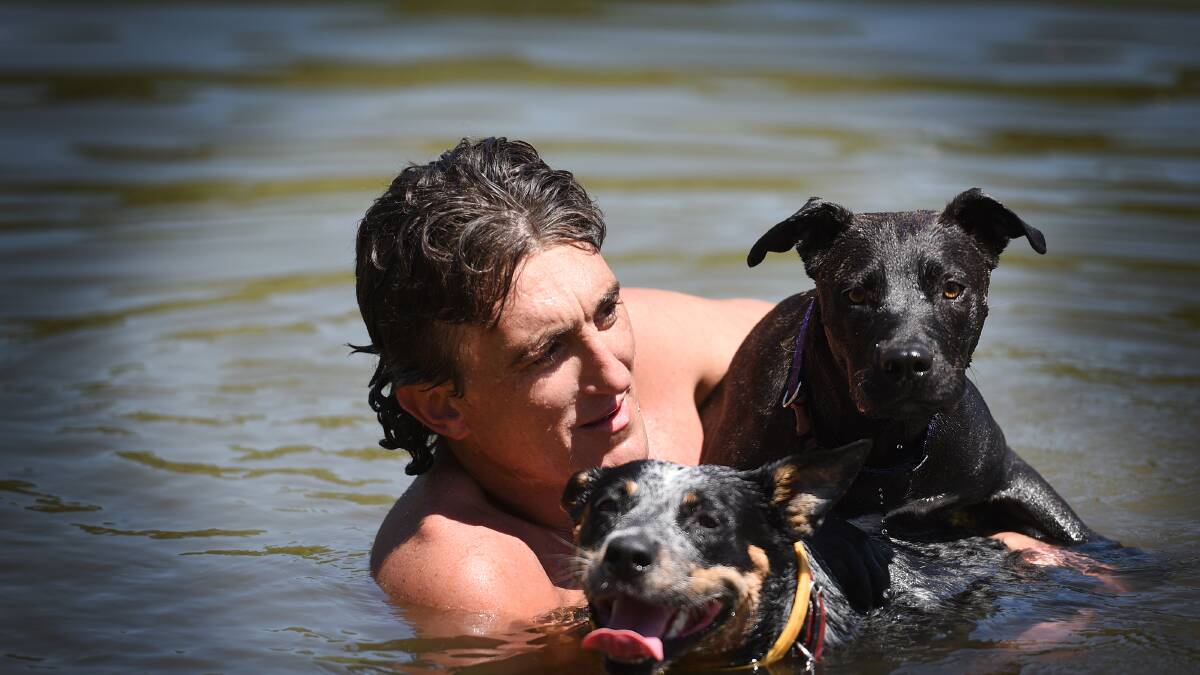 HOT DOGS: Tamworth dog owner Mick Callan took his Sooky and Missy off to cool down in the river at Paradise yesterday after a hot day.  
Photo: Gareth Gardner  090215GGC02