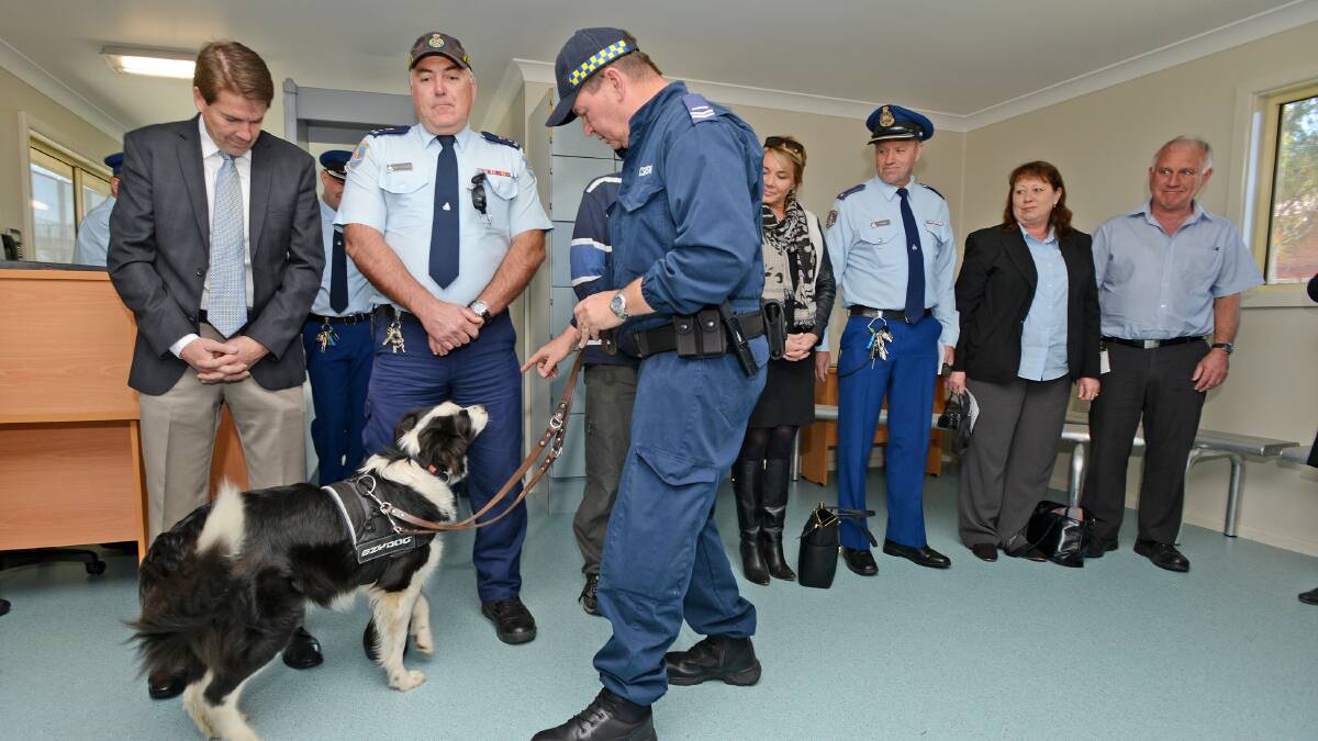 LINE UP: A sniffer dog searches a group of willing volunteers, including local MP Kevin Anderson, for contraband at the opening of a new visitor processing building at the Tamworth Correctional Centre. 
Photo: Barry Smith 110814BSD34