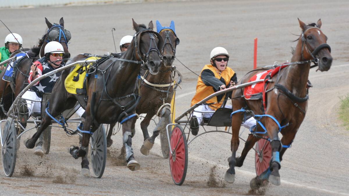 Tom Ison drives Diamondsnstones to victory in the first at Tamworth on Thursday. Photo: Barry Smith 260215BSE02