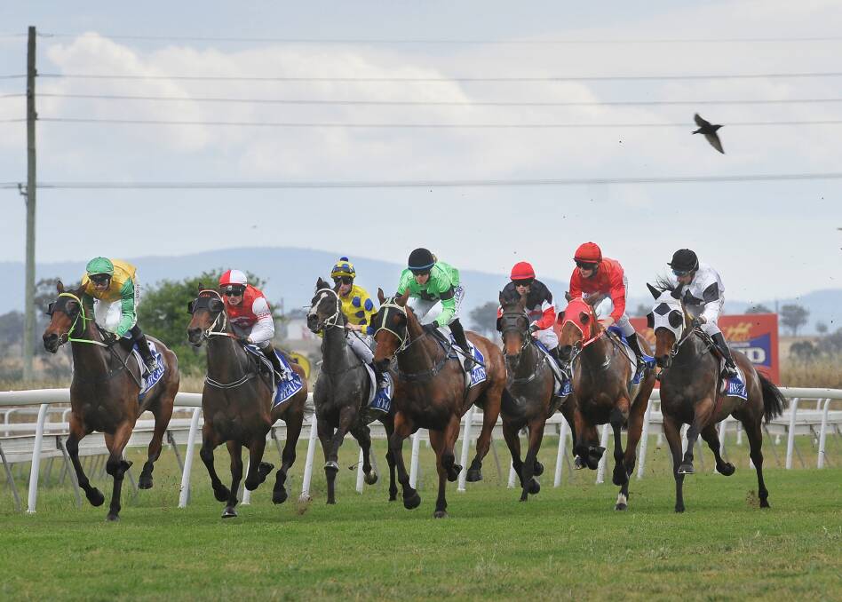They’re off at Tamworth. Gareth Gardner caught the field  back on October 13. (From left) Sensasis, Super Villain, Vivalixir, Cheval Delight, Bush Rock, Our Gracious Betty and Little Dusty . Bush Rock, who finished third to Cheval Delight, runs in today's third race at Tamworth, the Metroll Class 2 Handicap.  Photo: Gareth Gardner 131014GGE01