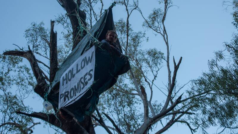 TREE-SITTER: A 23-year-old environmental activist from the Central Coast is calling on the federal government to halt the expansion of the Boggabri coalmine.