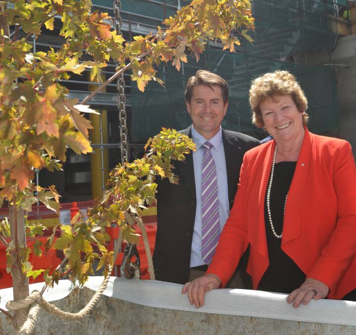 GROWTH AND GOOD LUCK: Tamworth MP Kevin Anderson and NSW health minister Jillian Skinner have a look at the ‘topping out’ tree before it is hoisted atop of the 
redeveloped Tamworth hospital. Photo: Geoff O’Neill 020414GOC03