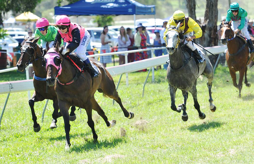 King of the Creek, ridden by Elizabeth Weiszbach, storms down the outside to pick up his maiden win. Photo: Geoff O’Neill 010115GOB06
