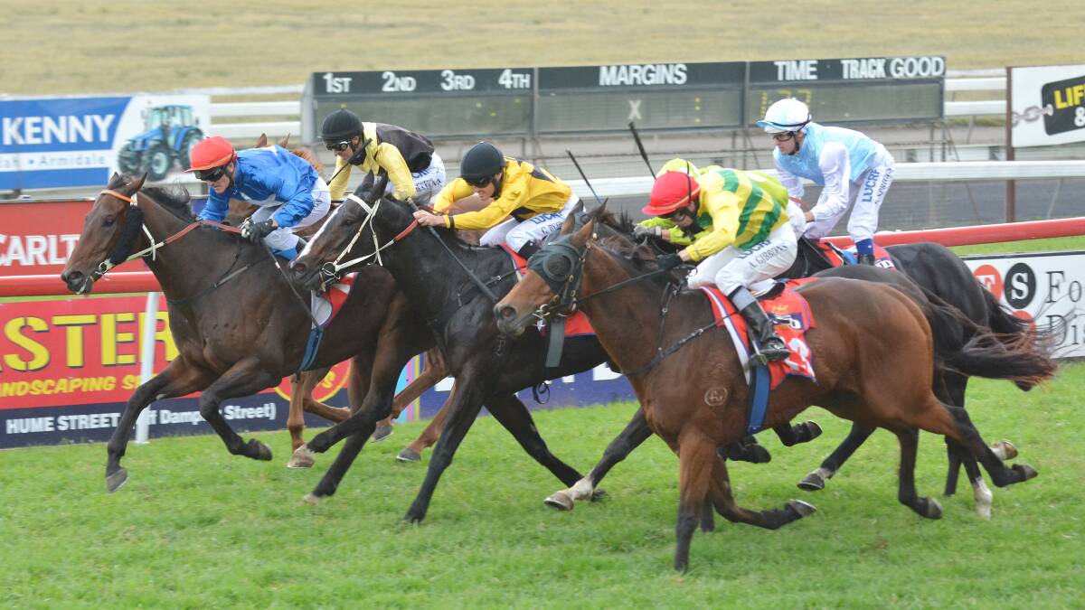 Pitt Street (left) edges to a Tamworth Cup win from runner-up Knot Out (right) in a blanket finish. Photo: Barry Smith 270414BSG33