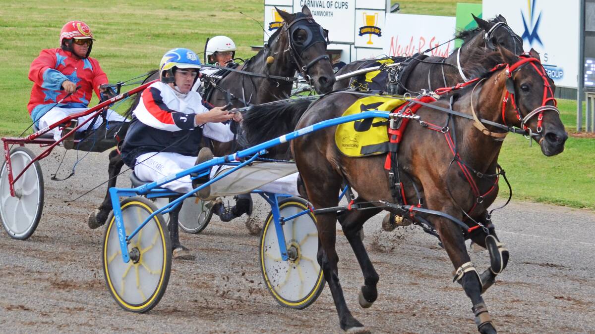 Tayspastime recorded its fourth win in 108 starts at Tamworth Paceway on Golden Guitar Finals night, Photo: Chris Bath 230115CBA02