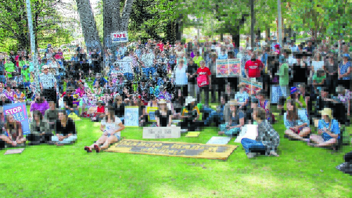 VOICING CONCERNS: Some of 
the 400 people in Armidale’s Central Park on Saturday.