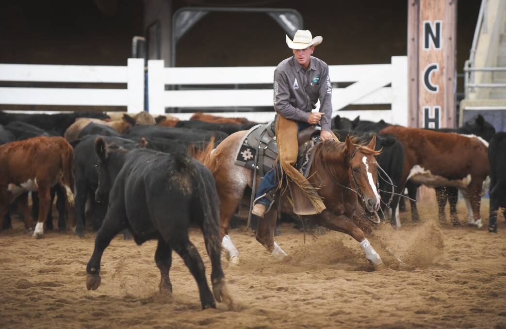 One of the NCHA Futurity stars, Todd Graham, rides Kinetic at the March National Finals and will return for next week’s Futurity. Photo: Barry Smith  260315BSD20