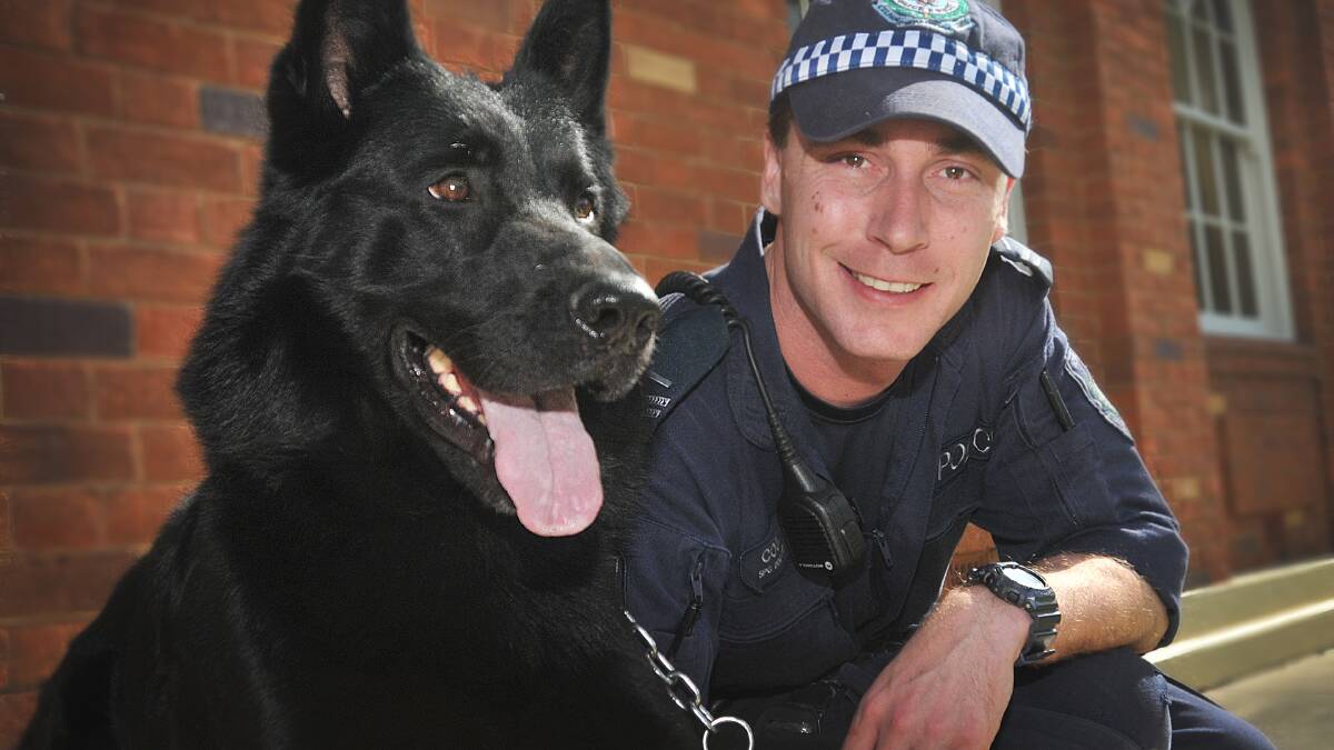 KEEN NOSE: Senior Constable Ben Cook and police dog Gordon hit the ground yesterday as part of a one-month trial.
Photo: Geoff O’Neill 160914GOA07