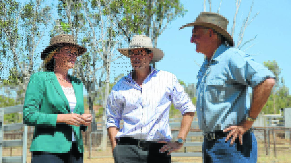 NSW Primary Industries Minister Katrina Hodgkinson, left, with Tamworth MP Kevin Anderson, and Somerton farmer Tom Woolaston. 