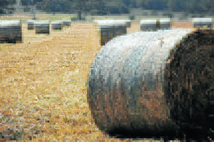 Drought relief trucks into region as Buy A Bale reaches $41,000