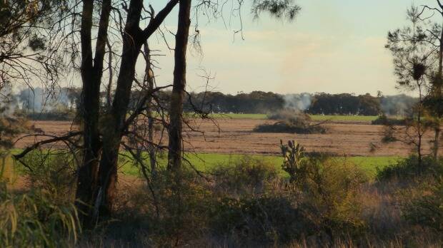 Pictures of burning stacks of native vegetation taken by Office of Environment and Heritage officer Robert Strange in Croppa Creek just before the killing of Glen Turner. Photo: NSW Police