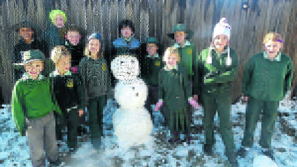 COLD ZONE: Students at Black Mountain Public School went straight to the top of the class when it came to building a beaut snowman in their playground yesterday.