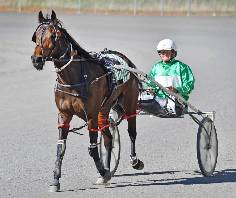 Lola Weidemann and Irishtown Babe afer Thursday’s win at Tamworth. Lola is a runaway leader in the Tamworth club’s  drivers’ premiership and sister Julie  leads the trainers’ premiership by an even bigger margin. Photo: Barry Smith  160616BSC15