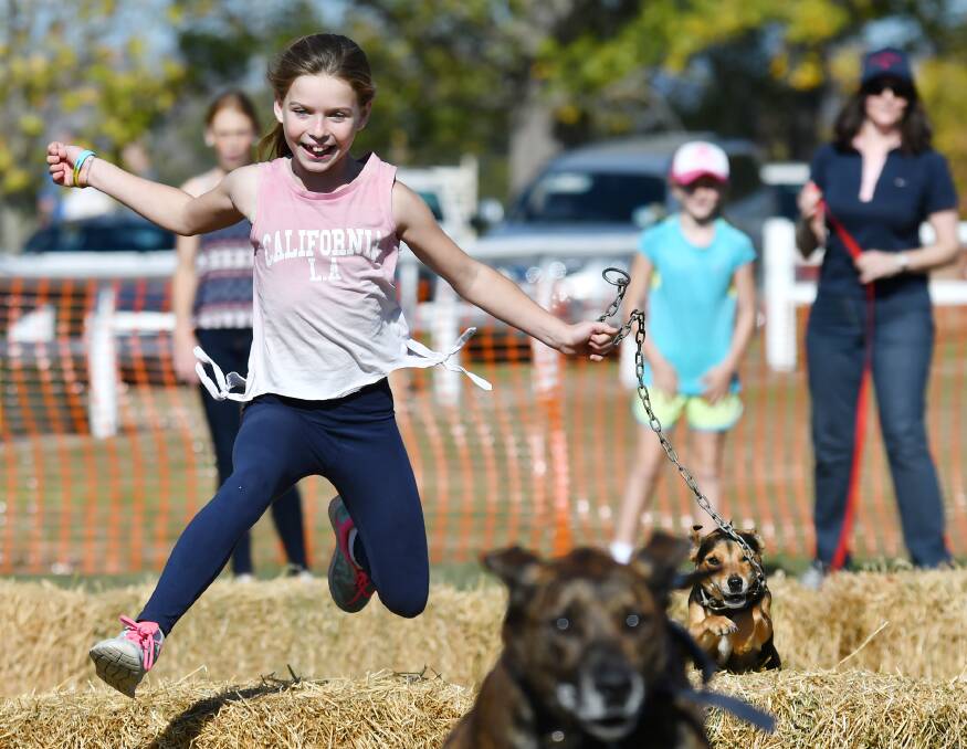 FACING HURDLES: Eight-year-old Rachel Brown from Murrurundi and her dog Hercules warming up on the steeplechase course. Photo: Barry Smith 220516BSA22