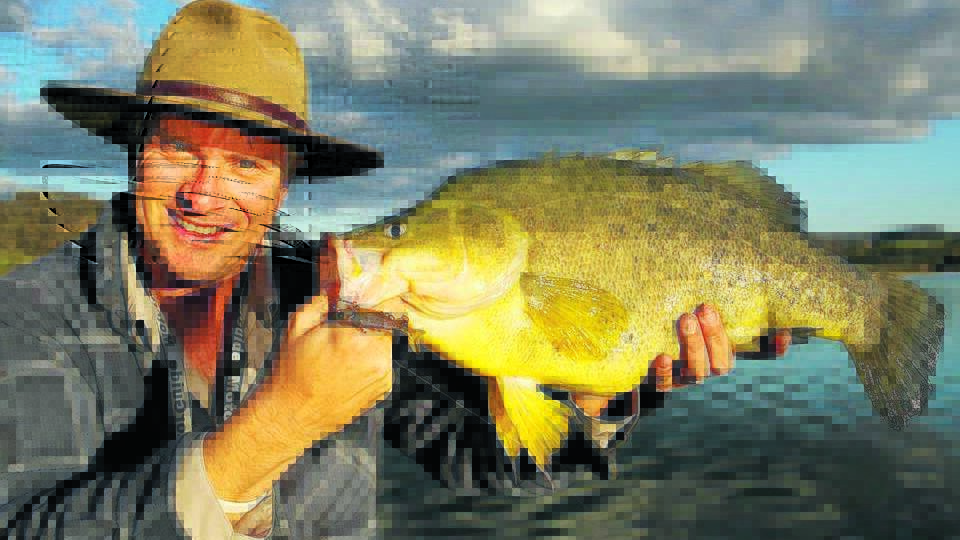 HAVE YOUR SAY: Golden perch is just one of the species used for fish restocking in local waterways.