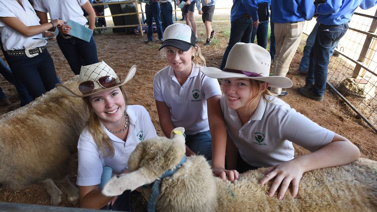 NO PRESSURE: Inverell’s Annameka Hyatt, left, Jorgie Cribb and Leah Kneipp appeared relaxed during the competition. Photo: Gareth Gardner 030516GGC20