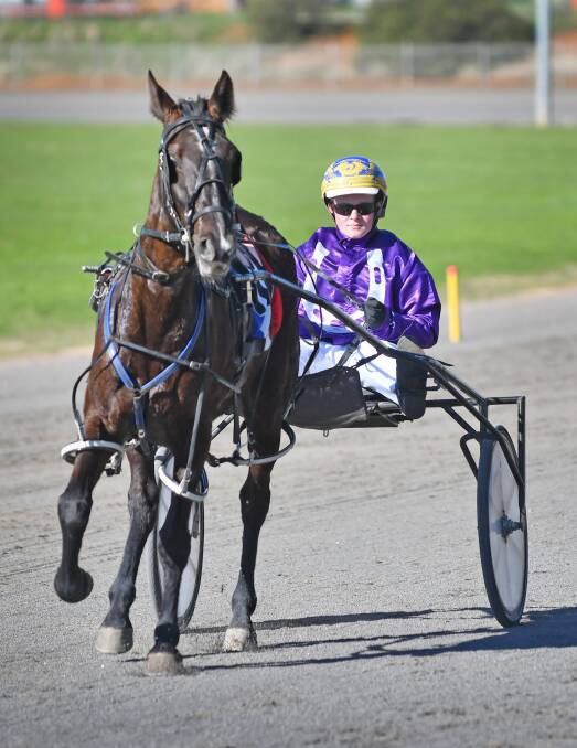 Brad Elder and Kenfury Lass after winning the first race at Tamworth Paceway yesterday. Photo: Barry Smith 160616BSC21