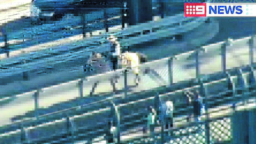 MOUNTED MESSENGER: Inverell farmer Glenn Morris rides across lane eight of the Sydney Harbour Bridge yesterday. Photo courtesy Nine News