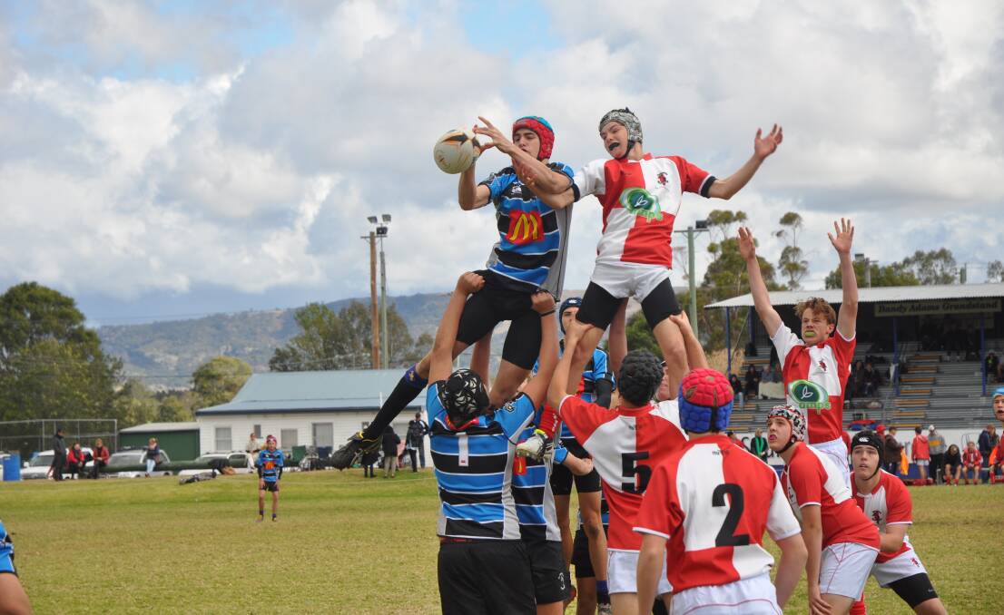 Central North 15s’ Tom Costelloe is hoisted high against Far North Coast during their clash Saturday. Toby Markerink is the second jumper and Connor Phillips his lifter while Joe Tufrey looks on. Lockie Oates is the 5 and Flynn Erich the 2. Photo: Ben Murphy, Scone Advocate