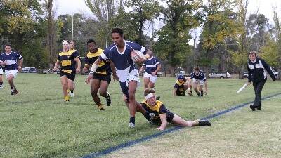 Edward Pitt scored a try and kicked a penalty for TAS against The Scots College on Saturday.
