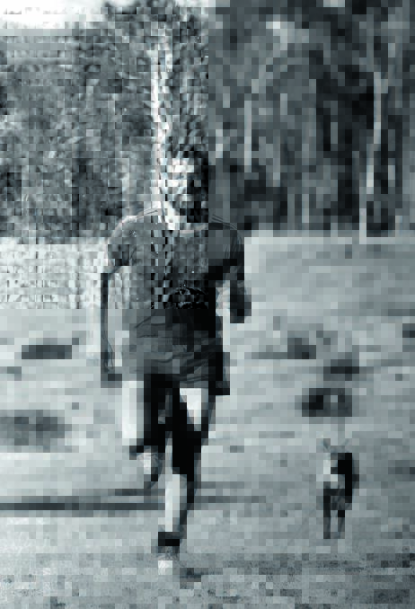Wallaby great Greg Cornelsen keeping fit on the family property back in 1981 with his training mate Ike, the little wallaby. Photo: Shane Chillingworth