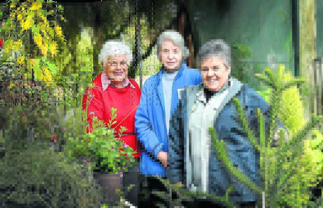 ALL SMILES: Friends of the Tamworth Regional Botanic Garden members Doreen Goddard, Sonya Harding and Christine Reeves at the open day on Sunday. 
Photo: Geoff O’Neill 290516GOB01