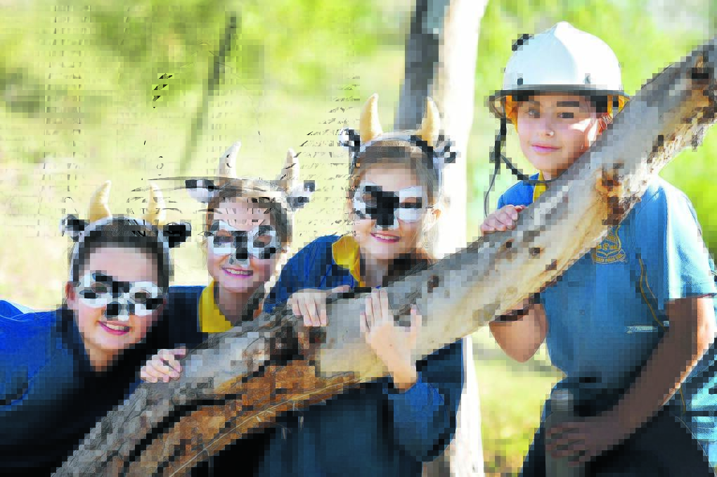 WATERWAYS ACTING: Tamworth Public School students Elise Woods, Cassidy Wilson, Savannah Gibson and  Kaitlin Lovell are among hundreds taking part in the Ecofestival in Tamworth this week, designed to educate students about the environment. Photo: Geoff O’Neill 310516GOA02