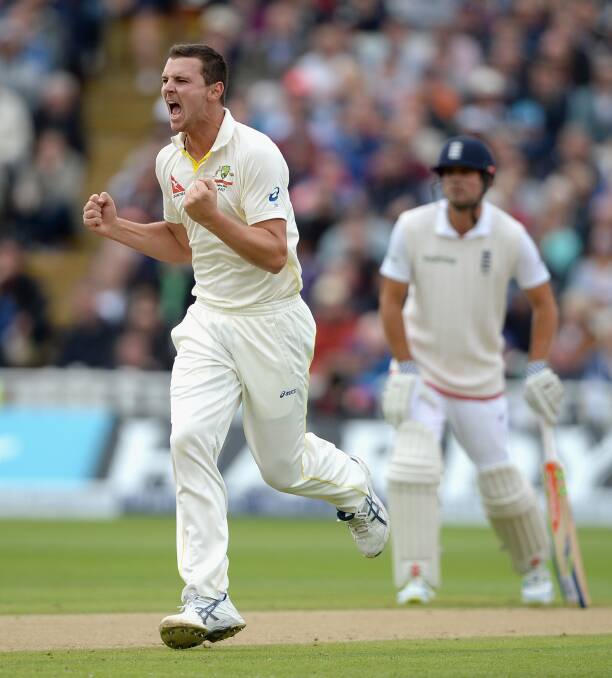 Josh Hazlewood hopes to be celebrating plenty more wickets this Summer after being named in the squad for the opening test of the Summer. Photo: Getty Images