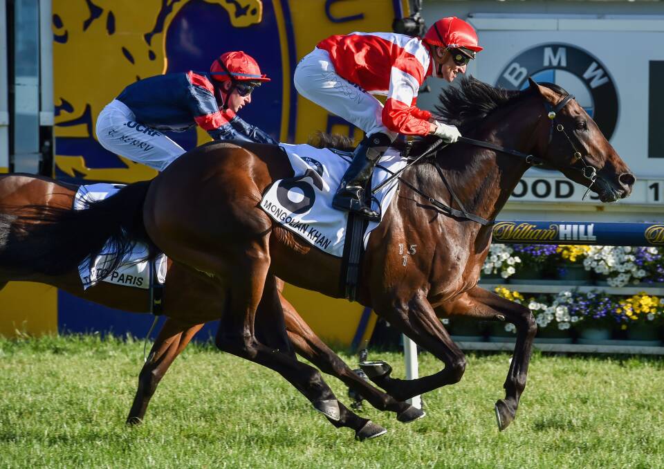 SCRATCHED: New Zealand starter Mongolian Khan was reportedly showing signs of colic and has been scratched from this year's Melbourne Cup.