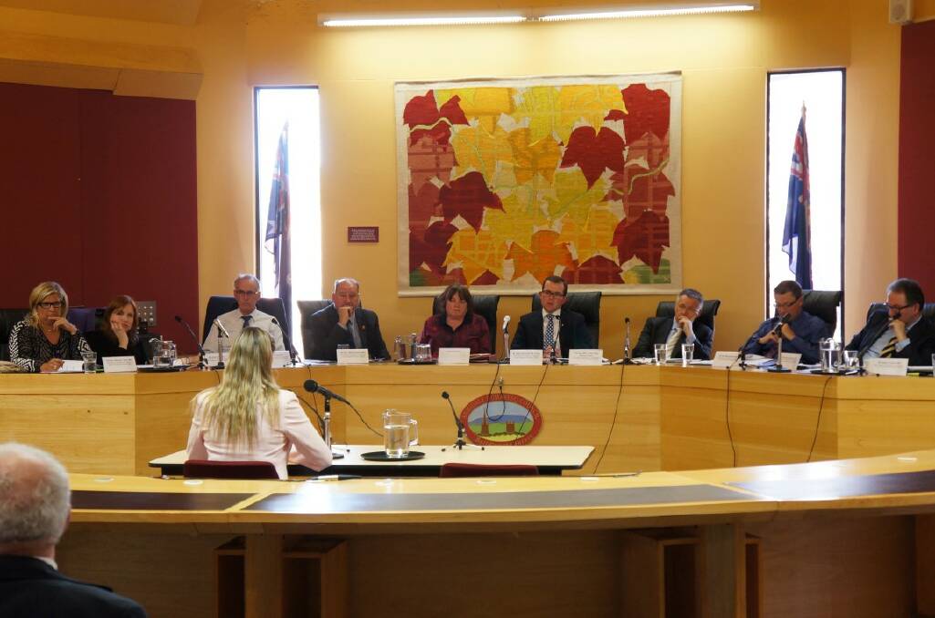 Inverell's Judy Scrivener giving testimony at the Joint Select Committee on Companion Animal Breeding Practices in NSW hearing in Armidale on July 14.