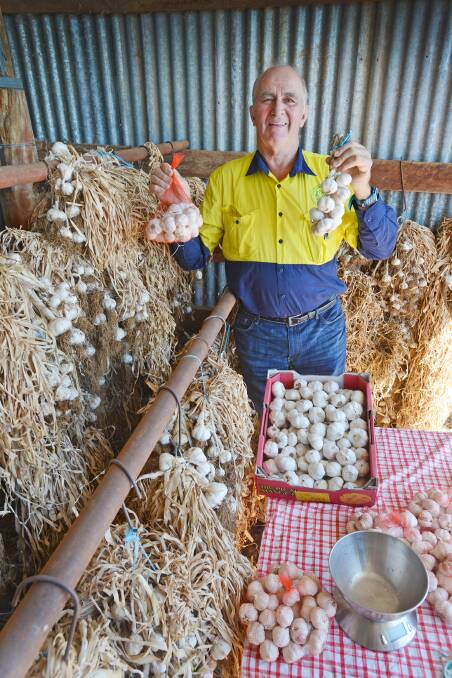 Roy Cody pictured with his award-winning garlic