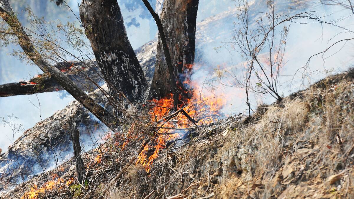 WEATHER WORSENS: Hot, dry and windy conditions were hampering RFS efforts to try and bring a blaze burning along the Port Stephens Cutting under control yesterday. Photo: Gareth Gardner 110214GGB14
