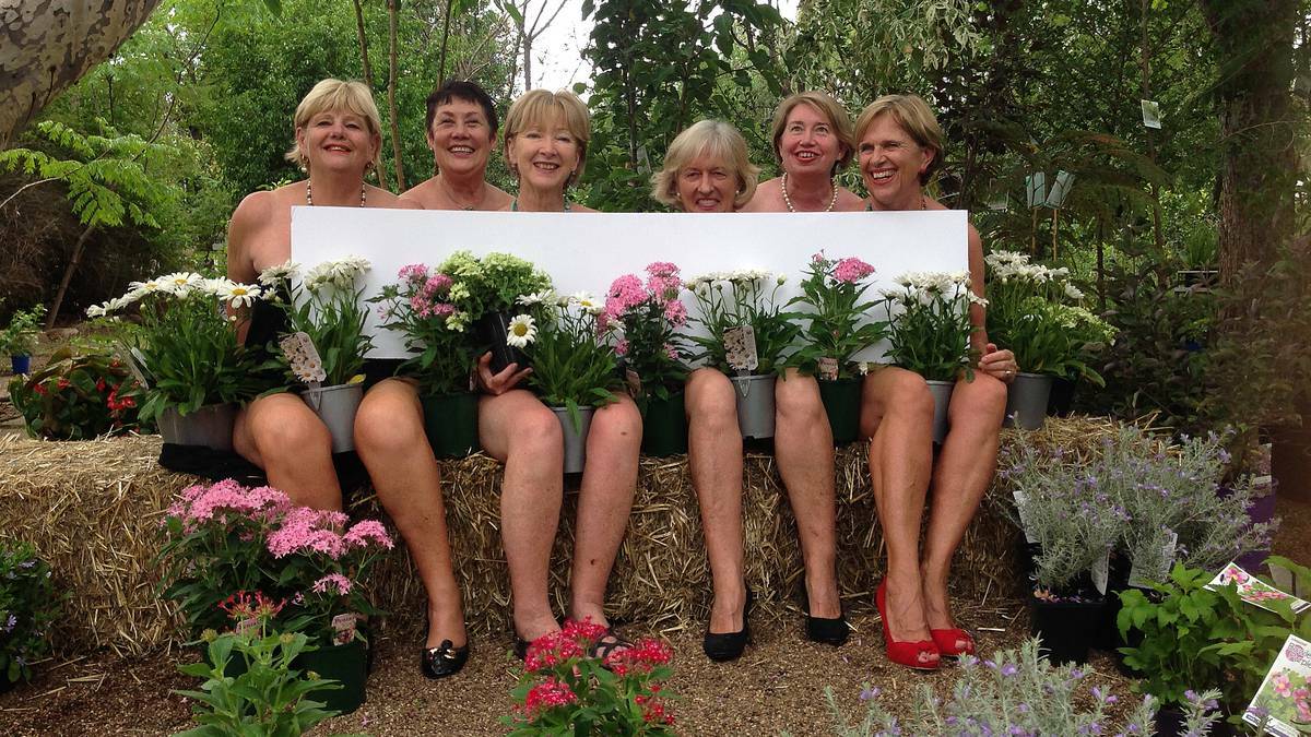 Local committee ladies from MAC and Can Assist Moree do anything to promote the performance of 'Calendar Girls'. Tricia Graham, Annabelle Simpson, Linda Meppem, Carolyn Francis, Cathy Corderoy and Penny Jones pose in ‘Calendar Girls’ style. – The Moree Champion