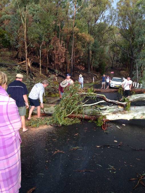 David Lane sent this one in on Port Stephens cutting after the second storm  About 20 cars were blocked by fallen trees. The motorists were helped out by local farmers with chainsaws and a tractor. 