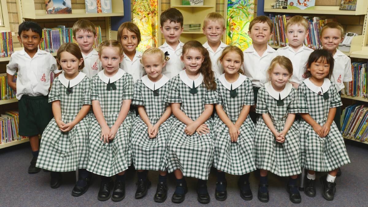 Calrossy Anglican Primary School Kindergarten Green: Front from left, Dominique Baker, Gracie Stanimirovic, Bridie Farrell, Sienna Pirouet, Eva Hayes, Stella Varley, Yeong Riolo; Back row, Harshil Kapoor,
Hunter Stafford, Zachary Elias, Archie McMaster, Jackson Gordon, Oliver
Thomas, Jackson Medlock, Jeremy Collins. Absent: Nokutenda Chivhoko.
Photo: Barry Smith 190214BSB01
