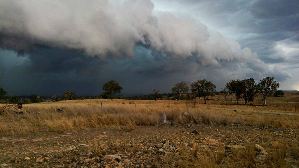 Saima Grills sent this one in 40km North of Inverell.
