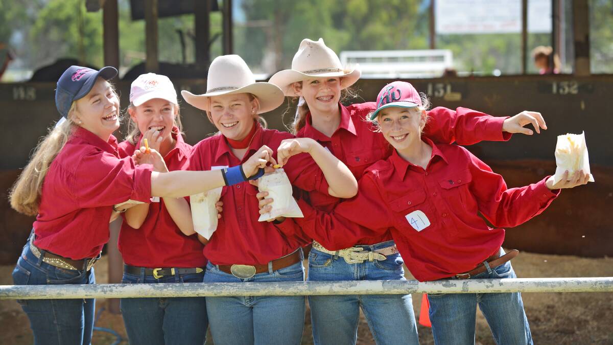 HOT, NOT BOTHERED: Junior cattle judging participants from Calrossy – Georgia Byriell, Claire Shadwell, Elly Byriell, Ann Porter and Lydia Higgins practising the hot-chip method. Photo: Barry Smith 130315BSD01