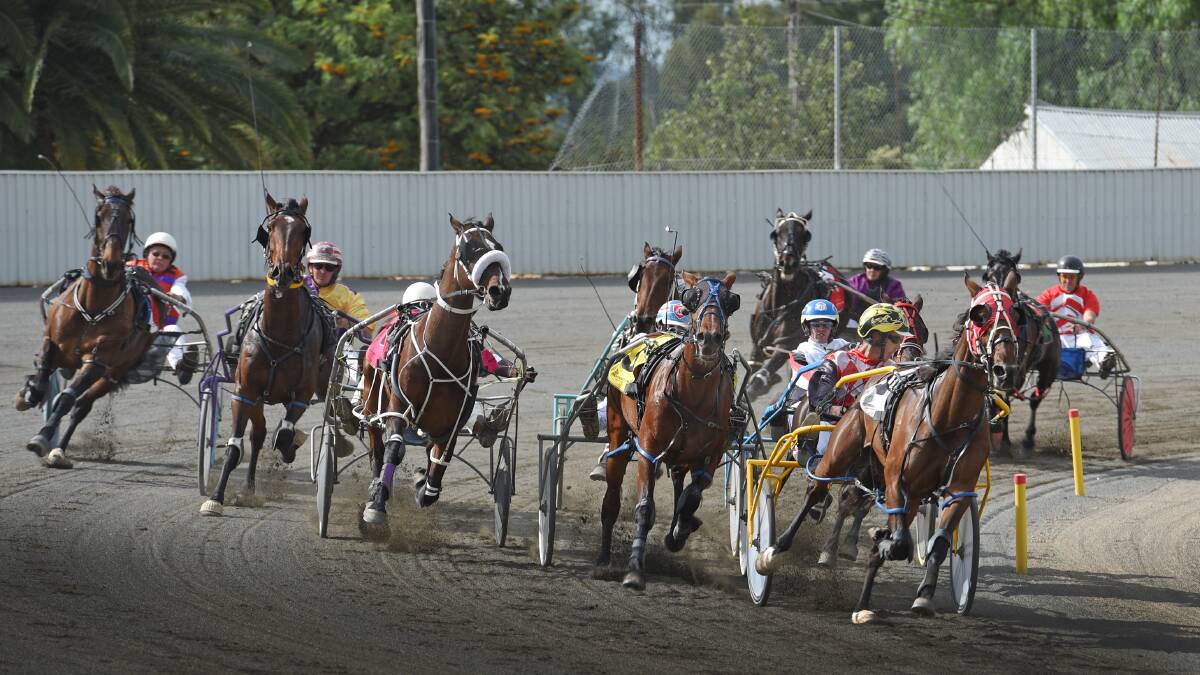 Mark Callaghan looks around on Always Amy to see if anything is coming as he waltzes away with the first of the two Menangle heats at Tamworth Paceway yesterday.  Photo: Gareth Gardner  121115GGB02