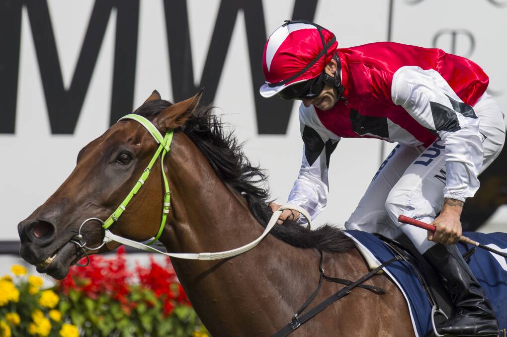 Artlee and Mitchell Bell win the Country Championship Final at Randwick. He takes on the cream at Flemington today.